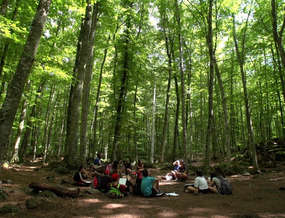 Excursions i sortides d’un dia